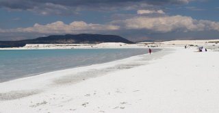 Türkiyenin Yeni Gözdesi Lavanta Ve Salda