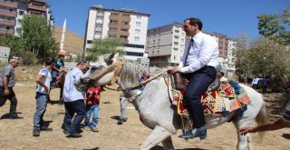 Solhanda Yöresel At Yarışları İle Çifte Kutlama