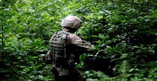 Jöperler İlk Defa Bu Kadar Yakından Görüntülendi