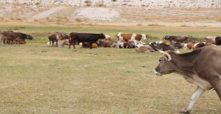 Kayseride İki Mahalle Karantinaya Alındı