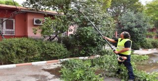 Büyükşehirden Okullarda Temizlik Hamlesi