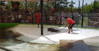 İşitme Engelliler Gezide Buluştu