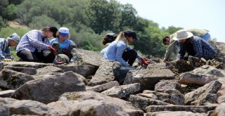 (Özel) Aigaide Zeus Sunağının İzleri Aranıyor