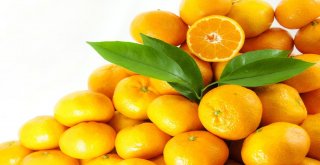 Egeli Yaş Meyve Sebze İhracatçılarından Muğla Çıkartması