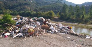 ‘Çöp Dökmeyin Tabelasının Dibine Çöp Döktüler