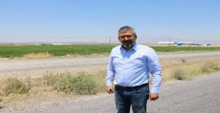 Çukurkuyuda Tarıma Dayalı Hayvancılık Bölgesi Kuruldu
