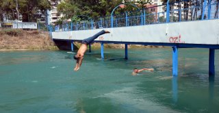 Adanada Termometreler 48 Dereceyi Gösterdi, Köpekler Göle Girdi