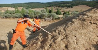 Evrimi Arama Çalışmaları Noktasal Olarak Yapılacak