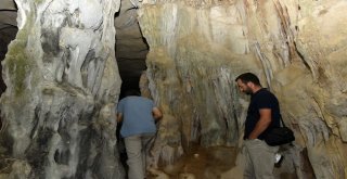 Efsaneleriyle Ünlü 40 Odalı Arılı Mağarası Turizme Açılmayı Bekliyor