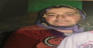 Trabzonda Herkes Seferber Oldu Onları Arıyor