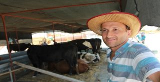 Manavgatta Kurban Pazarı Açıldı