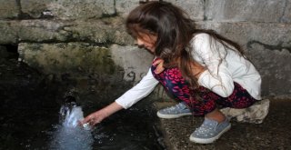 Kandil Sınırındaki Köyler Artık Hizmet Bekliyor