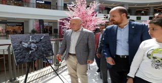 Geleneksel Türk Oyunları Erzurumdan Yükseldi