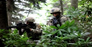 Jöperler İlk Defa Bu Kadar Yakından Görüntülendi