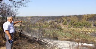 Antalyada Yangının Ardından Ürküten Manzara
