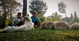 Kendileri Küçük, Yürekleri Büyük İki Minikten Ders Gibi Davranış