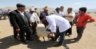 Vanda Kurban Sağlık Timi İş Başında