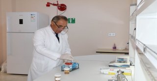 Erzincanda Kansere Karşı Ürün Çalışmaları Devam Ediyor