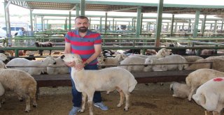 Birlik Başkanı Akın Canlı Hayvan Pazarını Ziyaret Etti