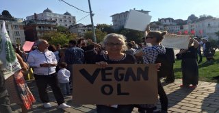 Büyükadada ‘Faytona Son, Atlara Özgürlük Eylemi