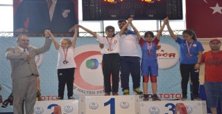 Halter Minikler Türkiye Şampiyonası Bilecikte Başladı