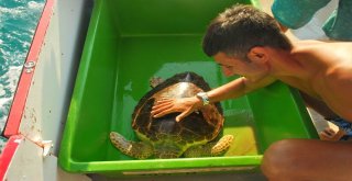 “Türkiyenin En İyi İşi”Nde Mesai Bitti