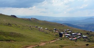 Sıhırçukuru Yaylası, Eşsiz Manzarasıyla Büyülüyor