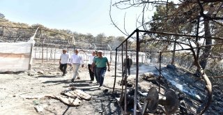 Başkan Uysal, Yangın Bölgesinde