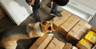 Bal Tenekelerinden 176 Kilo Eroin Ele Geçirildi