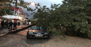 Muradiyede Etkili Olan Yağmur Ve Fırtına Hayatı Olumsuz Etkiledi