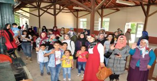 Şehir Gezileri Kaldığı Yerden Devam Ediyor