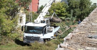 Sağlık Merkezindeki 54 Yıllık Leylek Yuvası Vinçle Taşındı