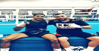 Anthony Joshua, Ali Eren İle Çalışmayı Tercih Etti