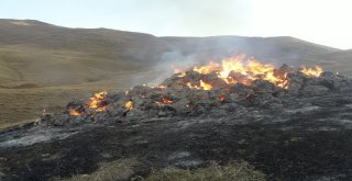 Çatakta 700 Bağ Ot Kül Oldu