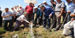 Varto Baltaş Köyünde İçme Suyu Sevinci