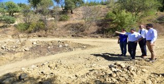 Botanik Park İçin İlk Kazma Vuruldu