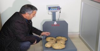 Nevşehir Patatesi Diyarbakır Karpuzu İle Yarışıyor