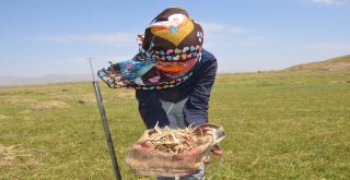 Salep Ekmek Kapısı Oldu