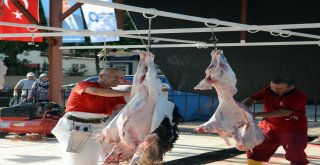 Antalyada Kurban Kesim Yerleri Belli Oldu