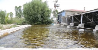 Bejingir Su Kaynağı Çevresinde Düzenleme