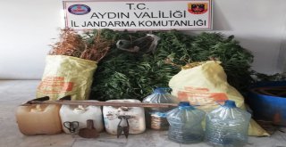Sökede 5 Kilo Esrar Yakalandı