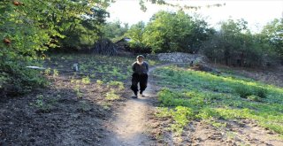 Hiç Evlenmedi, 30 Yıldır Dağda Tek Başına Yaşıyor