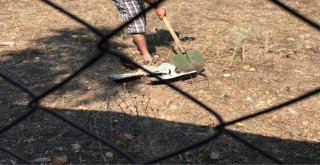 Kürekle Şahin Öldüren Şahsa 10 Bin Tl Para Cezası