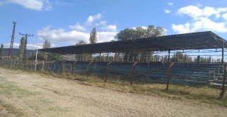 Gölpazarındaki Futbol Sahasının Çimleri Bakımsızlıktan Toprağa Dönüşmüş