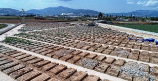 İzmirde Geçen Yıl 26 Bin 500 Kişi Ölmüştü, Yeni Gömü Alanları Oluşturuluyor