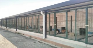 Bursada Bu Kadarı Da Olmaz Dedirten Olay