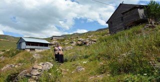 Sıhırçukuru Yaylası, Eşsiz Manzarasıyla Büyülüyor