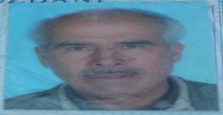 Aydında Trafik Kazası; 1 Ölü