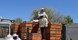 Kırıkkalede 397 Genç Çiftçiye 1,9 Milyon Tl Hibe Desteği Verildi