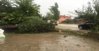 Osmanelide Dolu Büyük Zarara Yol Açtı